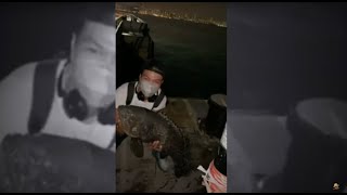Best Hong Kong Fishing