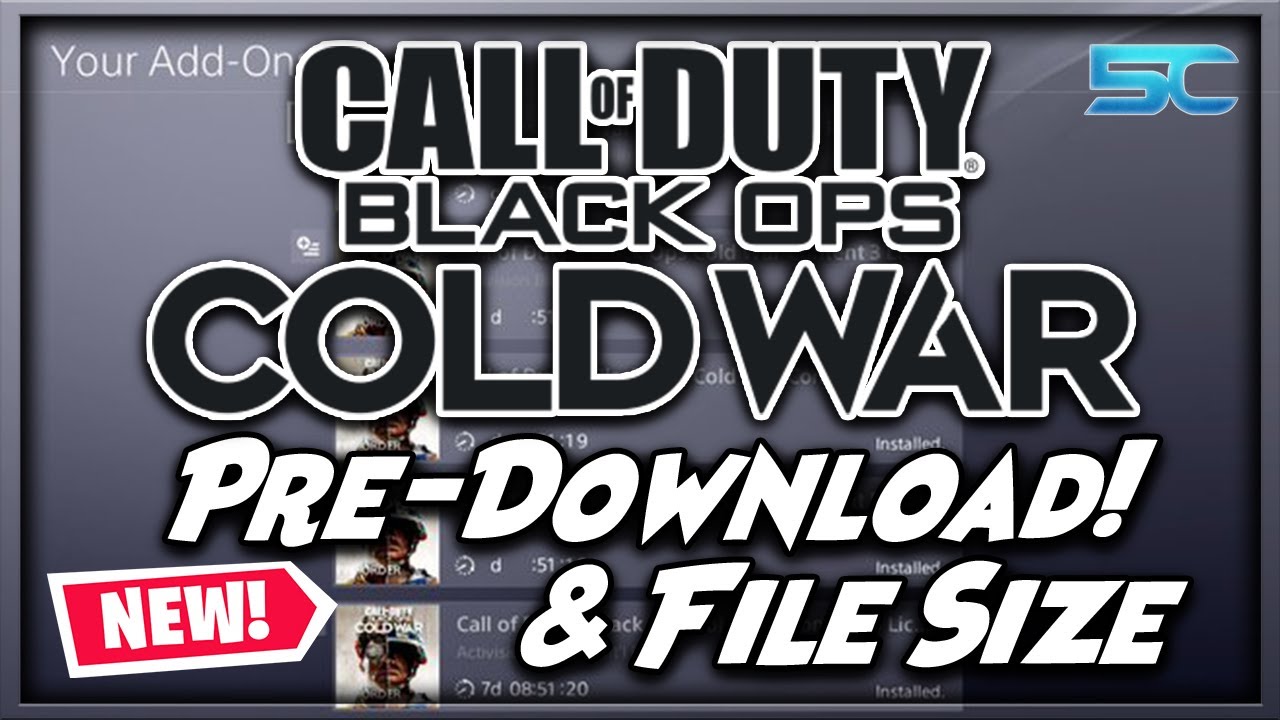 Black Ops Cold War Pre-Download & File Size! (Black Ops Cold War)