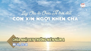 Suy niệm Lời Chúa | Chúa Nhật XIV Thường Niên năm A | Mt 11, 25-30 | Lm Ant. Nguyễn Cao Siêu SJ