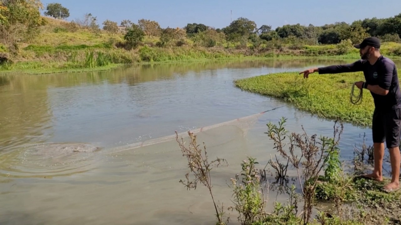 Parece que esse peixe comeu todas traíras desse lugar...