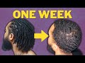 From Locs to 360 Waves: One Week Progress - Building the Foundation!