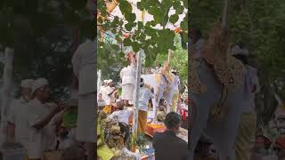 Ngaben - A Priestly Farewell - Cremation - Sanur Bali - Jero Istri Tanjung -  #shorts