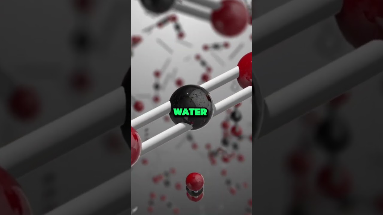 Why Life Exists: Are We Alone in the Universe? 🤔