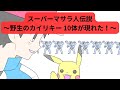 スーパーマサラ人伝説 野生のカイリキー が10体現れた 
