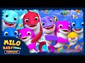 Cinq Petits Requins - Les Cinq Requins - Chansons pour bébés - Comptines @MiloCartoonLEFrançais