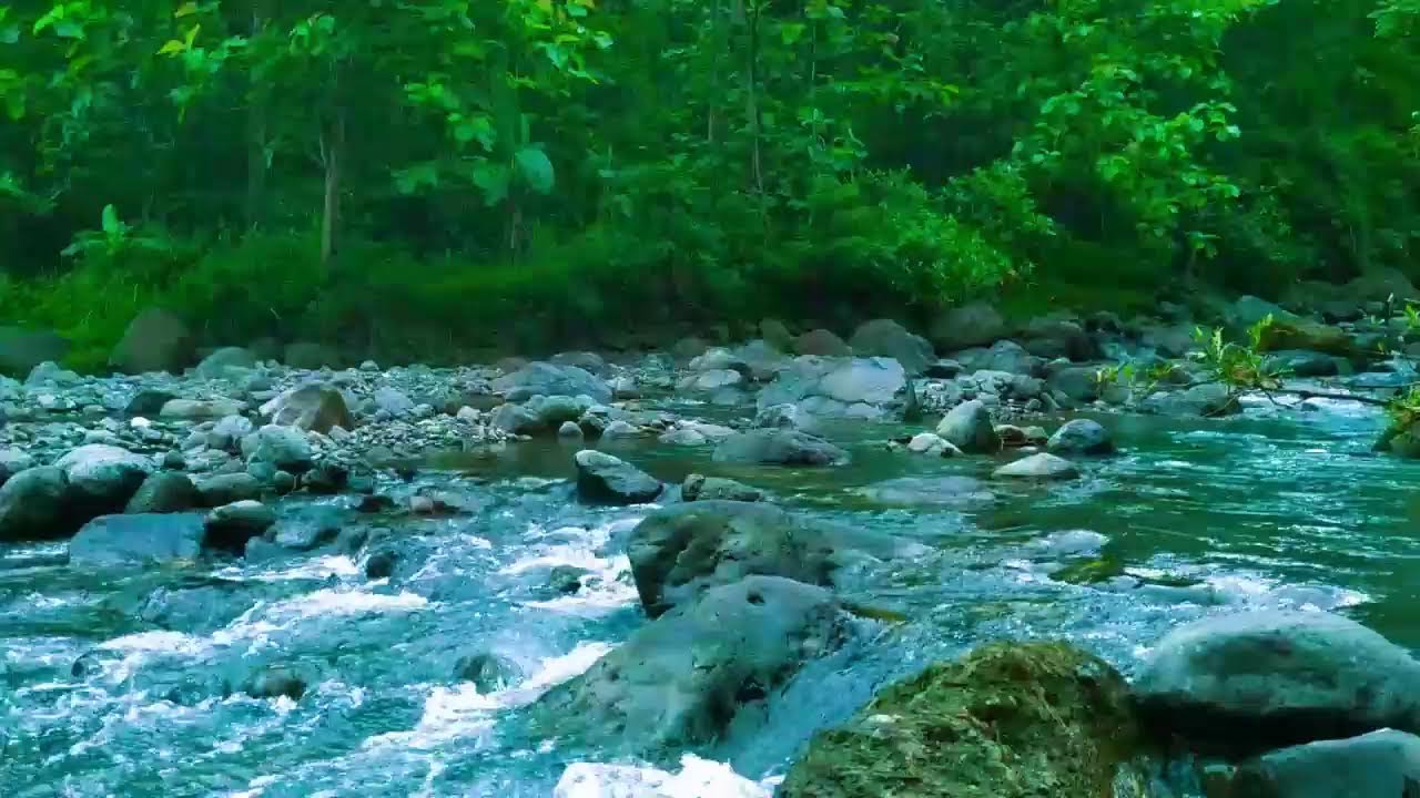 Mountain River Flowing Sounds 24/7 - Nature Sounds White Noise - Flowing Water for Sleep and Relax