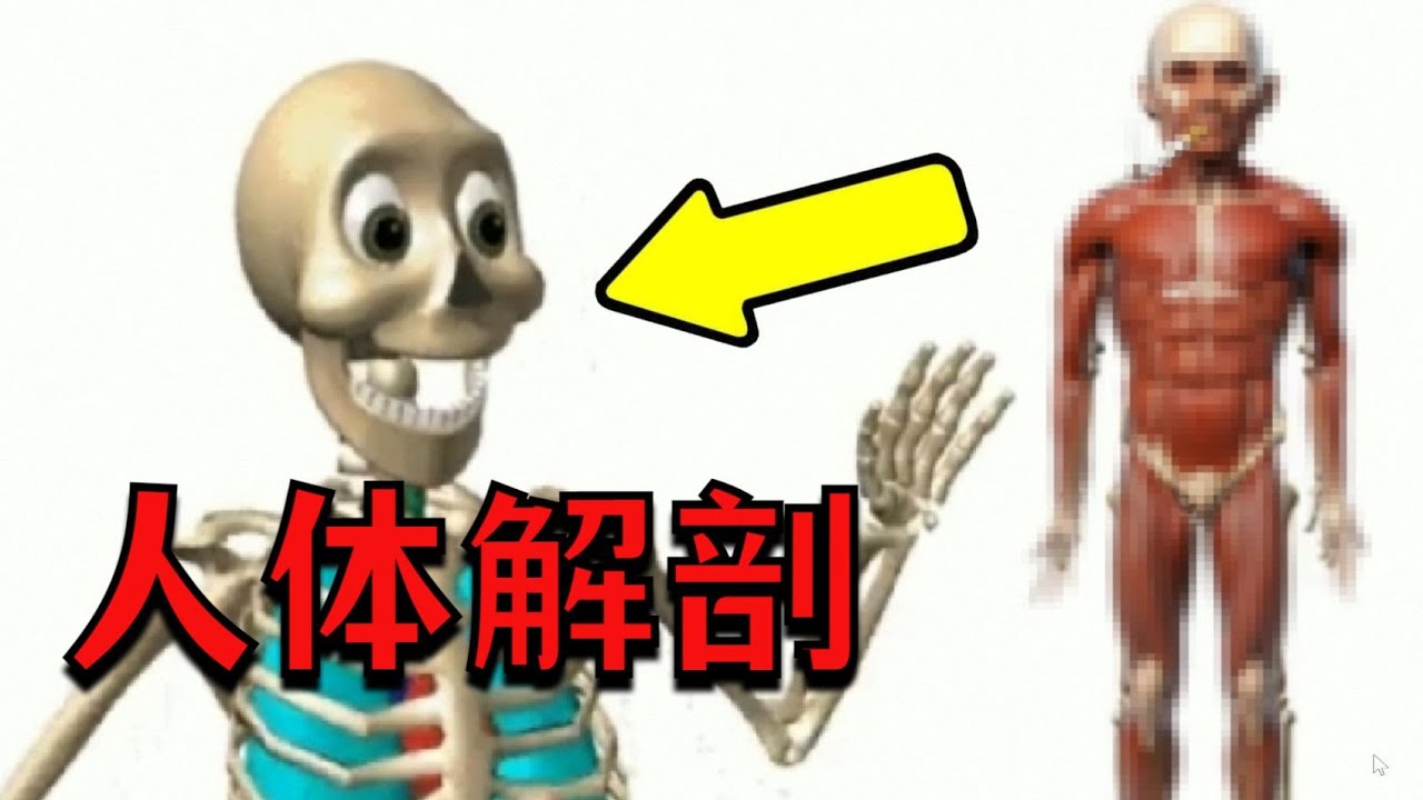 给儿童玩的人体解剖游戏？因为内容过于阴间惨遭下架！