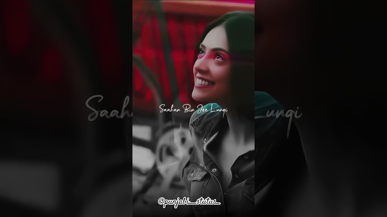 Punjabi Statuses That Hit HARD (for WhatsApp & IG)