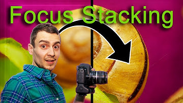 Macro Photography: More Depth Of Field / Focus Stacking in PhotoShop