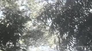 O. Gavurl - Arborist Music Video