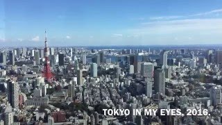 Tokyo in my eyes, 2016