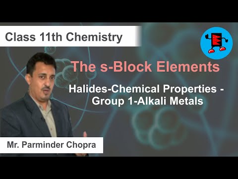 CBSE Class 11 Chemistry s-Block Elements Halides-Chemical Properties - Group 1-Alkali |Extraminds