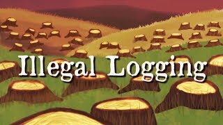 Illegal Logging - 1st place National STEM Animation 2018
