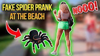 SPIDER PRANK AT THE BEACH  | THEY WERE SO TERRIFIED | Kimoo Pranks