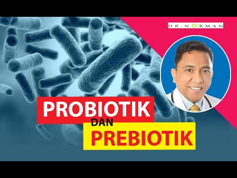 Video: 7 Daripada Probiotik Terbaik Untuk Kanak-kanak