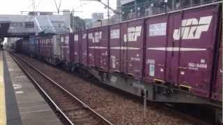 EF210-113  5051レ  東加古川駅 通過