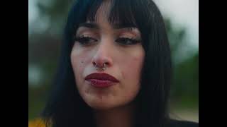 Shot By Zoodeville 2025