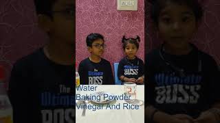 Dancing Rice Experiment with Vishwa and Pragathi #shorts #experiment