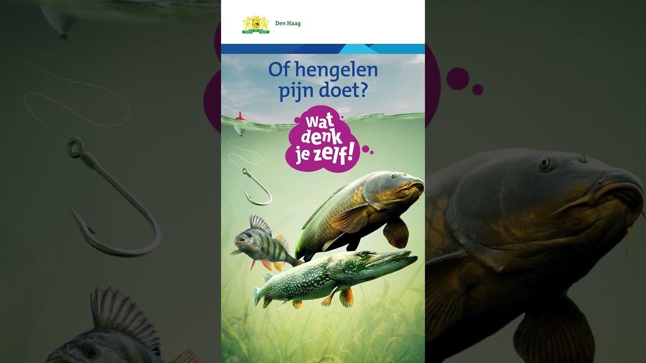 Campagne Stadsdieren - uiting #2-Vissen