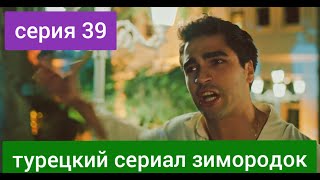 Зимородок 39 серия турецкий сериал русская озвучка