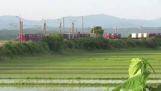 4091ﾚ EF510-1 東能代〜鶴形 2019 0530