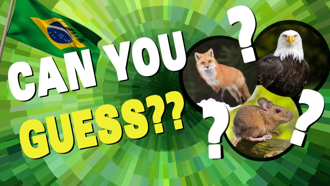 Brazilian Portuguese for Beginners | Vocabulary Quiz 6