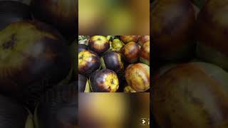 Manfaat buah Lontar bagi kesehatan #58 22733758