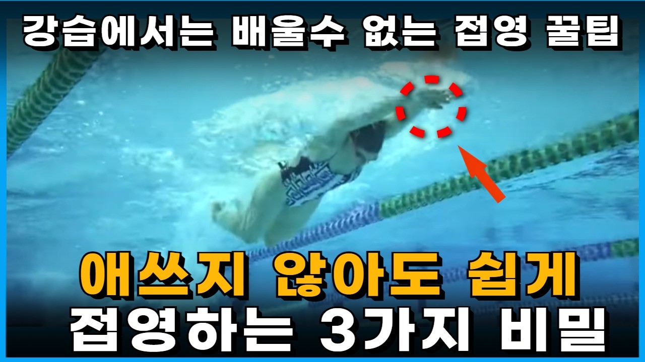 초보자 93%가 모르는 잘나가는 접영 3가지 비밀