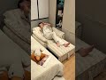 狭い部屋必見!これ一台で寝ても座っても快適すぎる折りたたみソファベッド #一人暮らし #インテリア