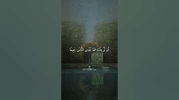 تلاوة خاشعة مريحة للقلب بصوت ماهر المعيقلي ارح سمعك #ماهر_المعيقلي
