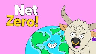 What is Net Zero?