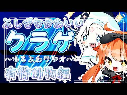 【 生物コラボ 】 ふしぎなかわいい『有櫛動物』………ってなに！？🪼🪼🪼 【 #個人Vtuber #生き物 #クラゲ #茜ちえり #天草せりひ  】