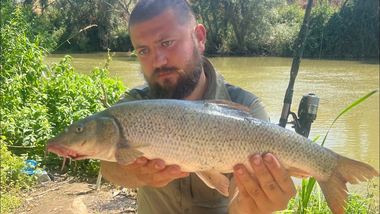 Sakarya Nehri Balık Avı  - 2025 