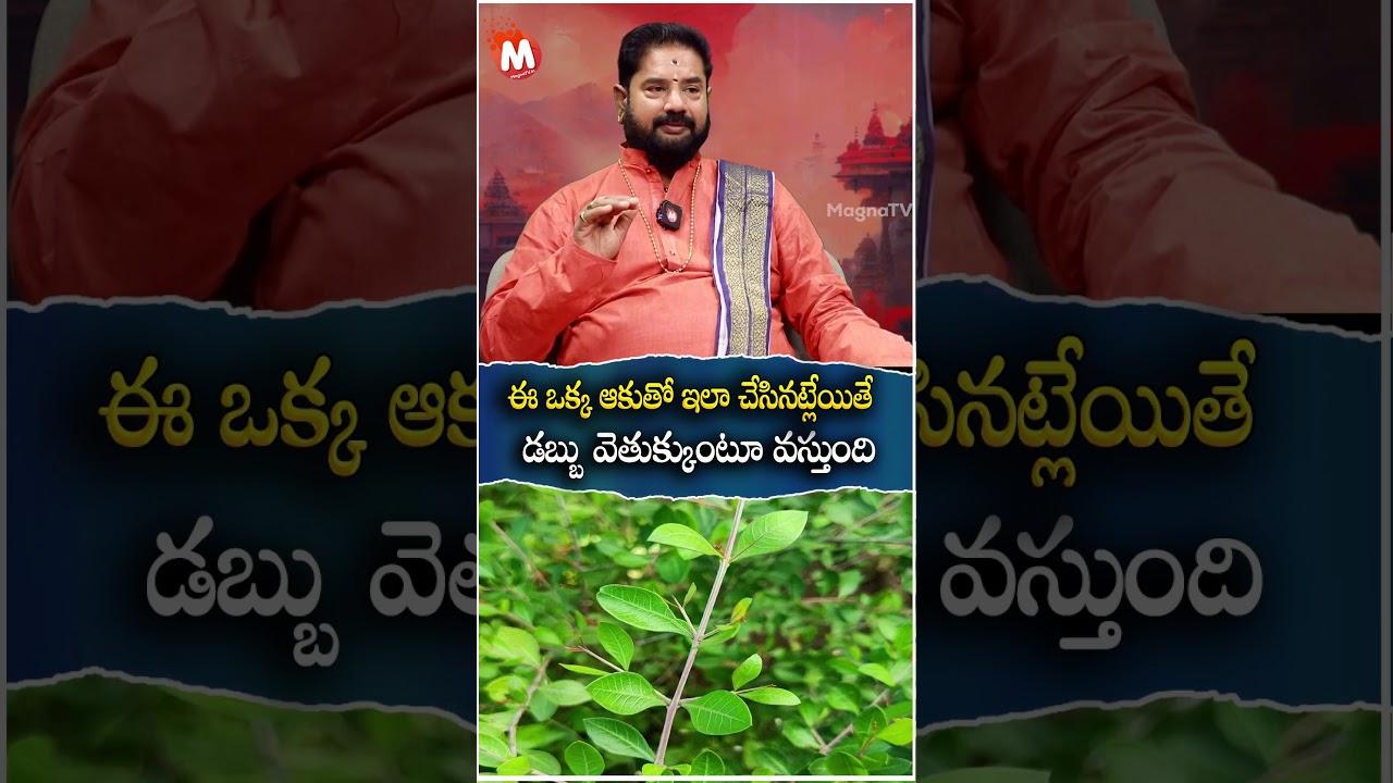 ఈ ఒక్క ఆకుతో ఇలా చేసిన‌ట్లేయితే  | Rajan Nambudiri | Remedy For Money | Unknown Money