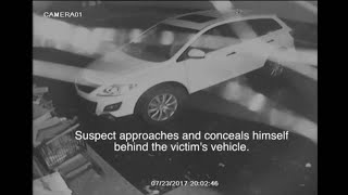 UNCUT: Surveillance video captures armed robbery