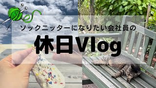 ソックニッターになりたい普通の会社員の休日Vlog ネコもくつろぐバラ園でまったり編み物時間