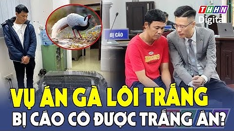 Trưa 17/10: Nóng: Xét xử phúc thẩm vụ  