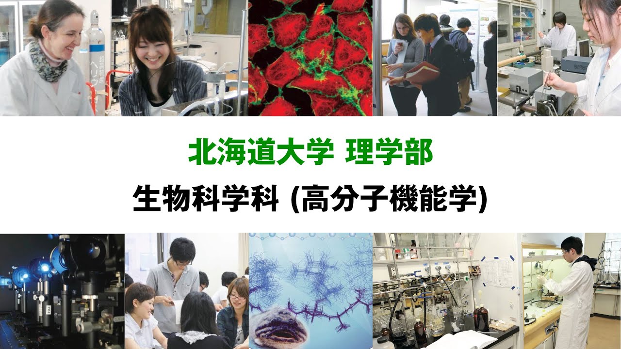 北海道大学理学部 生物科学科(高分子機能学)学科紹介 YouTube 北海道大学理学部 生物科学科(高分子機能学)学科紹介 YouTube