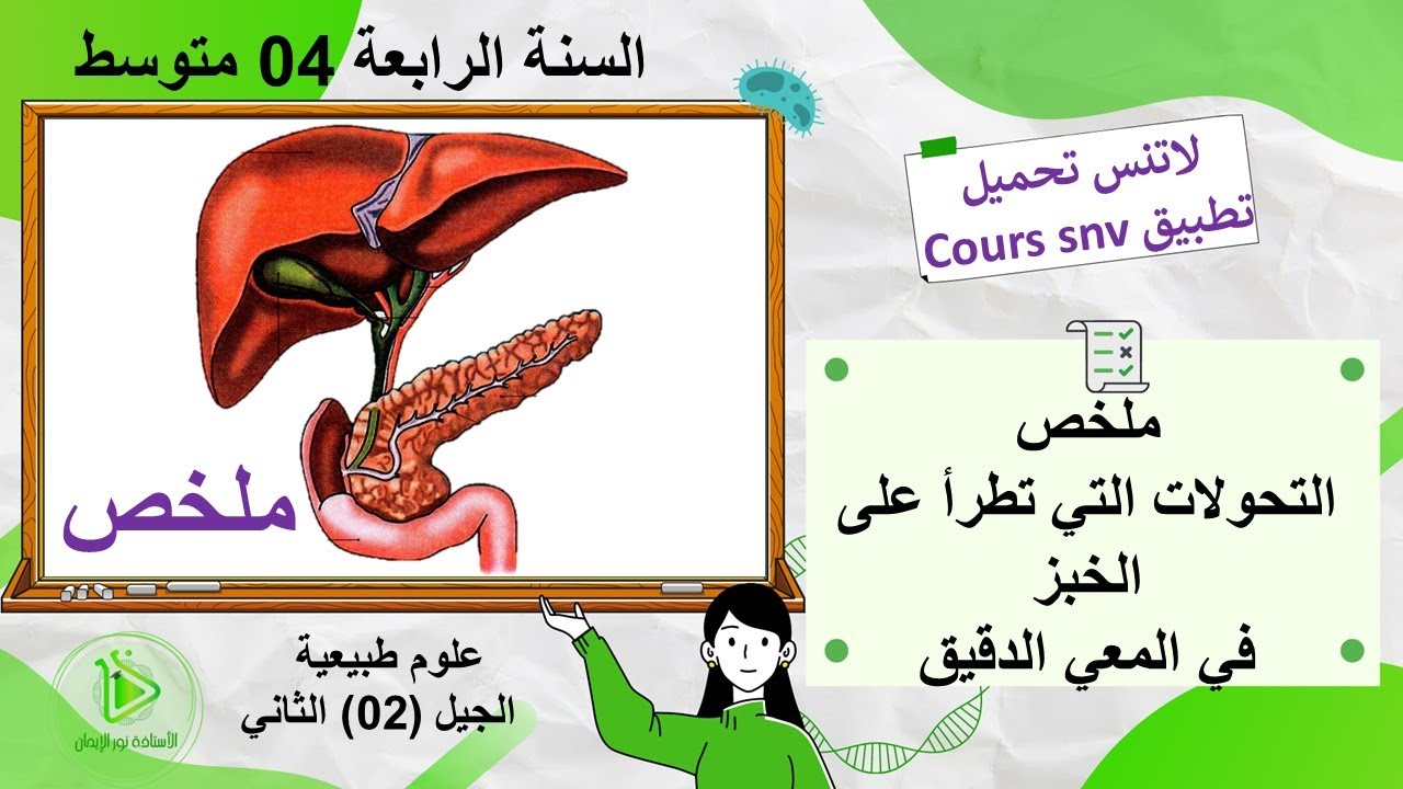 ملخص الهضم الكيميائي للأغذية على مستوى المعي الدقيق علوم طبيعية سنة 04 متوسط