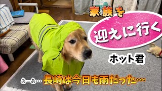 【家族を迎えに行く愛犬】天気も関係なし笑顔になる愛犬の愛情表現…@hotto510