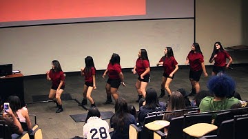 SYBO - Delta Phi Omega Sorority Inc., Stroll