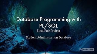 ITEC 472 PL/SQL FINAL PROJECT
