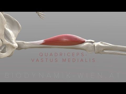 Videó: A vastus medialis quadriceps?