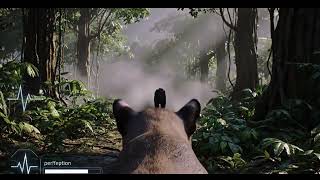 Panther Online - I'm Back 