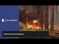 Луганщина у вогні: 5 людей загинуло, понад 100 будинків згоріло