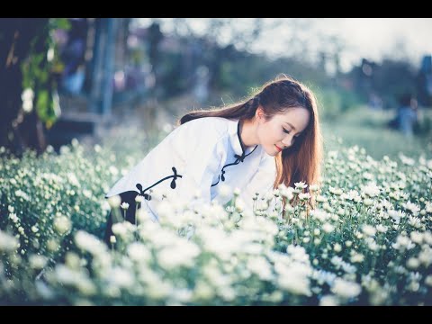 唱一首情歌 (DJ何鹏版) - 龙梅子/冷漠 (唱) Bài Hát Tiếng Hoa - Chinese (Mandarin) song