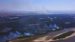 Пожар на левом берегу Хабаровска 🔥 Сгорело ВСЁ