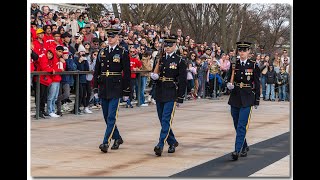 Meet Tomb Guard ~ Sentinel Sergeant Johnstone