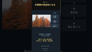 針葉樹なのに葉を落とすタマラック