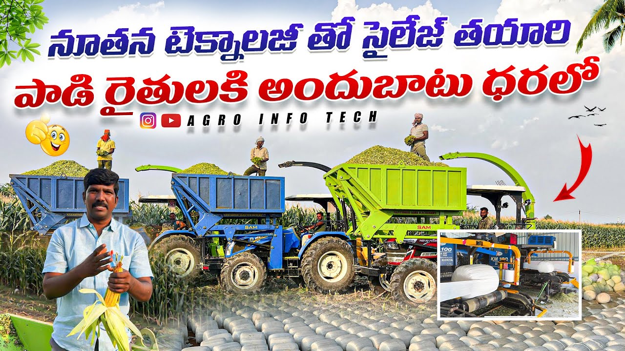 సైలేజ్ తయారీ , పాడి రైతులకి అందుబాటు ధరలో ||india’s Biggest Silage Company in Gajwel